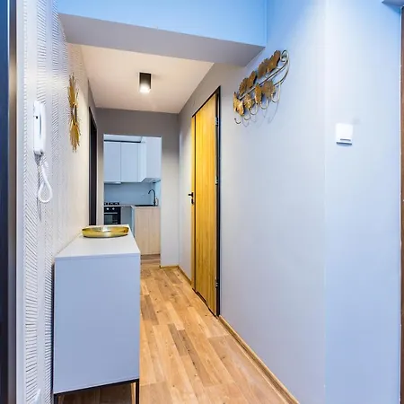 Apartment Spacious Modern - Wielicka - Bonarka Krakow